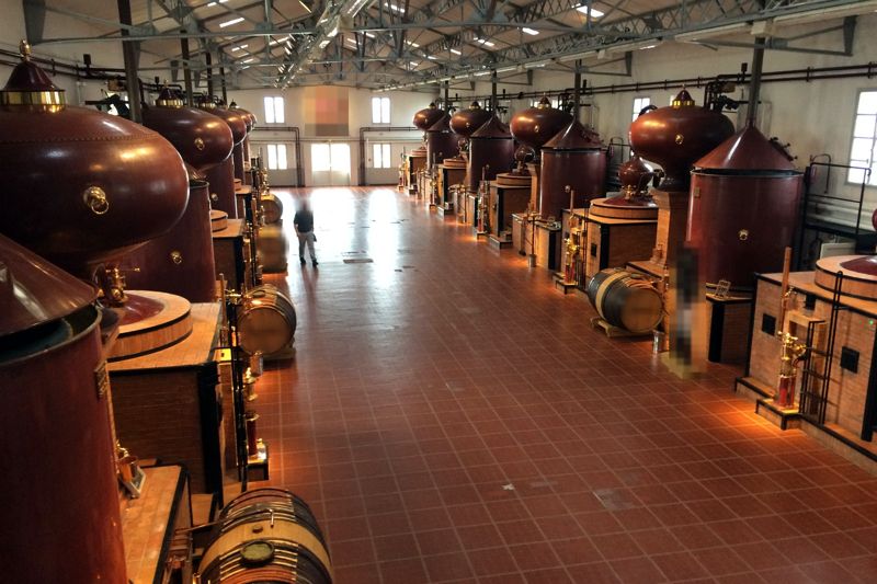 Salle de distillation avec alambics charentais